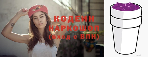гидра Горняк