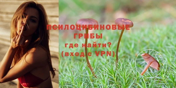 ПСИЛОЦИБИНОВЫЕ ГРИБЫ Наволоки