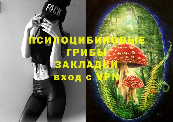 спайс Надым