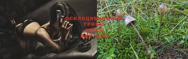 Альфа ПВП Михайлов