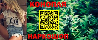 ПСИЛОЦИБИНОВЫЕ ГРИБЫ Канаш