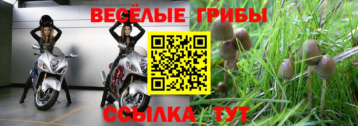 Галлюциногенные грибы GOLDEN TEACHER  где можно купить наркотик  Псилоцибиновые грибы Cubensis  Дюртюли  Вход с VPN 